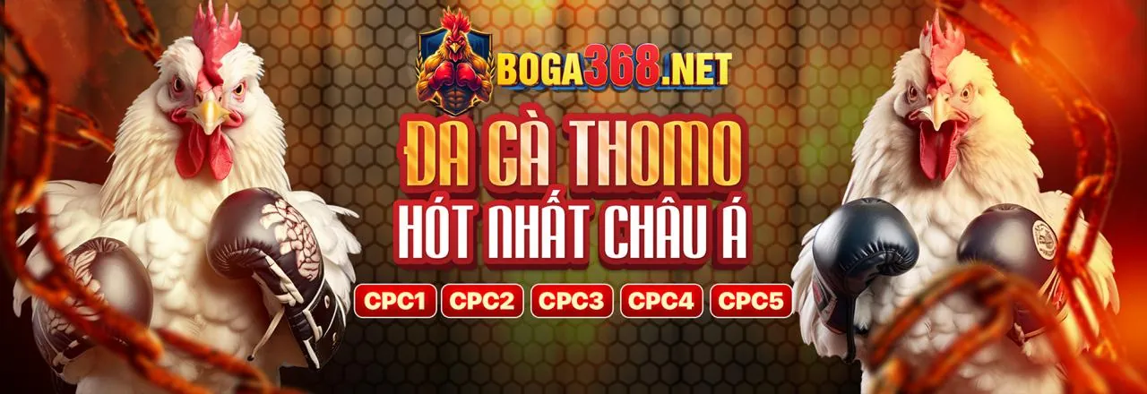 Hoàn trả hàng tuần E688 Win